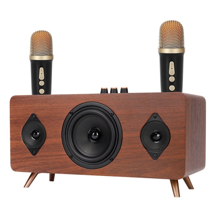 Комплект тонколона и два микрофона Kisonli G105